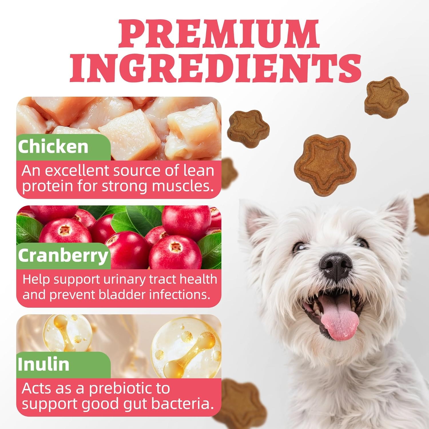 Just Try Cranberry Dog Treats for Urinary Health | Healthy Training BiscuitsJust Try