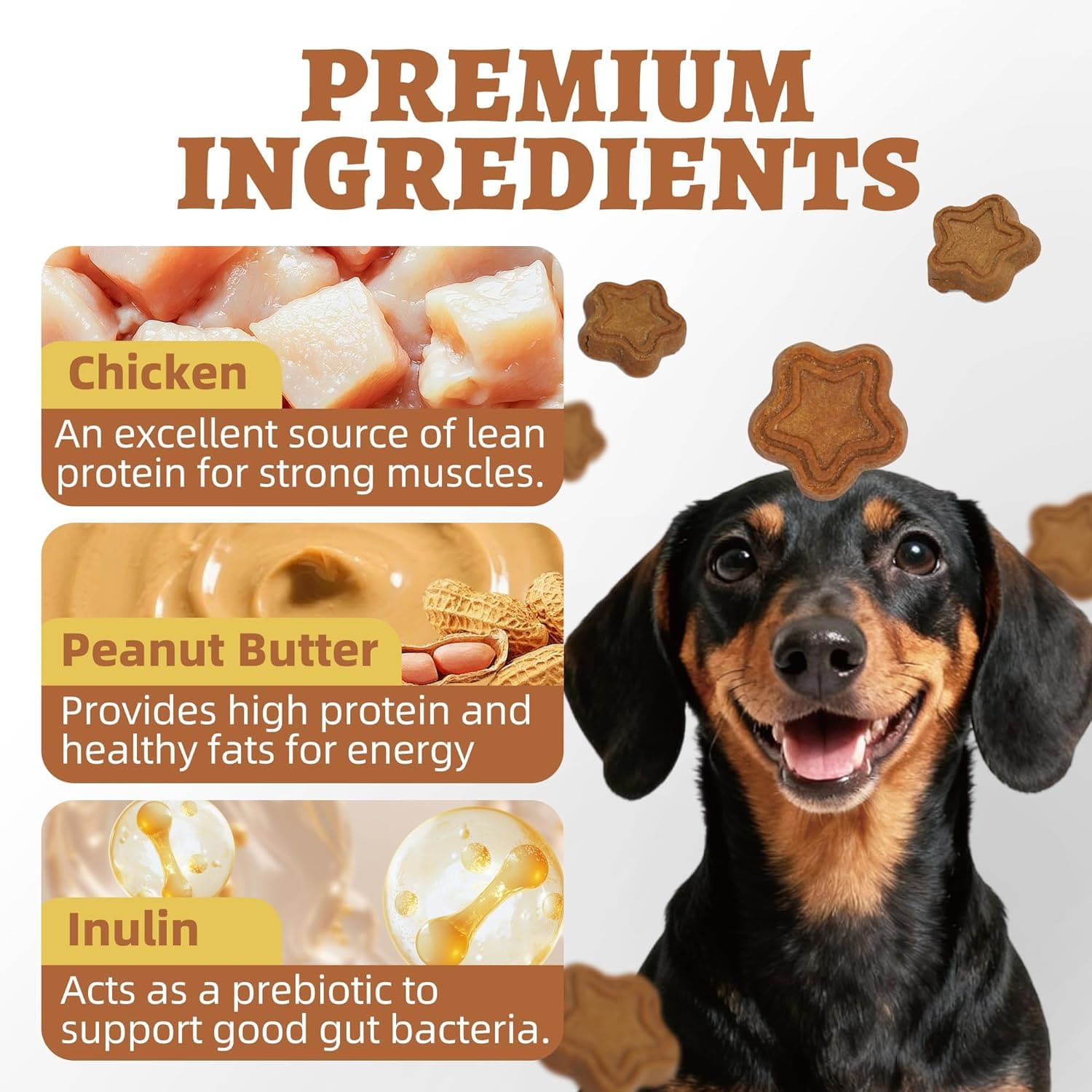 Just Try 15 OZ Dog Biscuits Peanut Butter Flavor Energy Boosting Immune Peanut Butter Dog TreatsJust Try