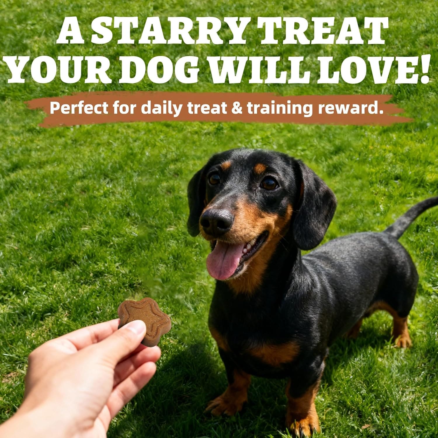 Just Try 15 OZ Dog Biscuits Peanut Butter Flavor Energy Boosting Immune Peanut Butter Dog TreatsJust Try