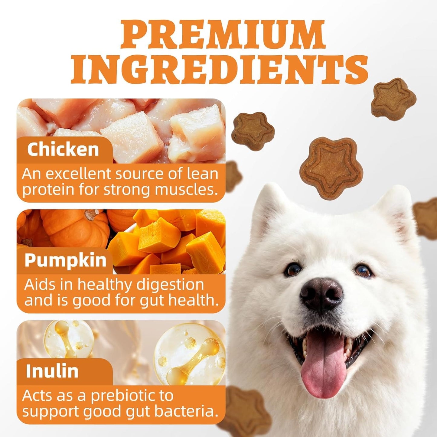 Just Try Pumpkin Dog Treats for Digestive Health | Training BiscuitsJust Try