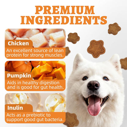 Just Try Pumpkin Dog Treats for Digestive Health | Training BiscuitsJust Try