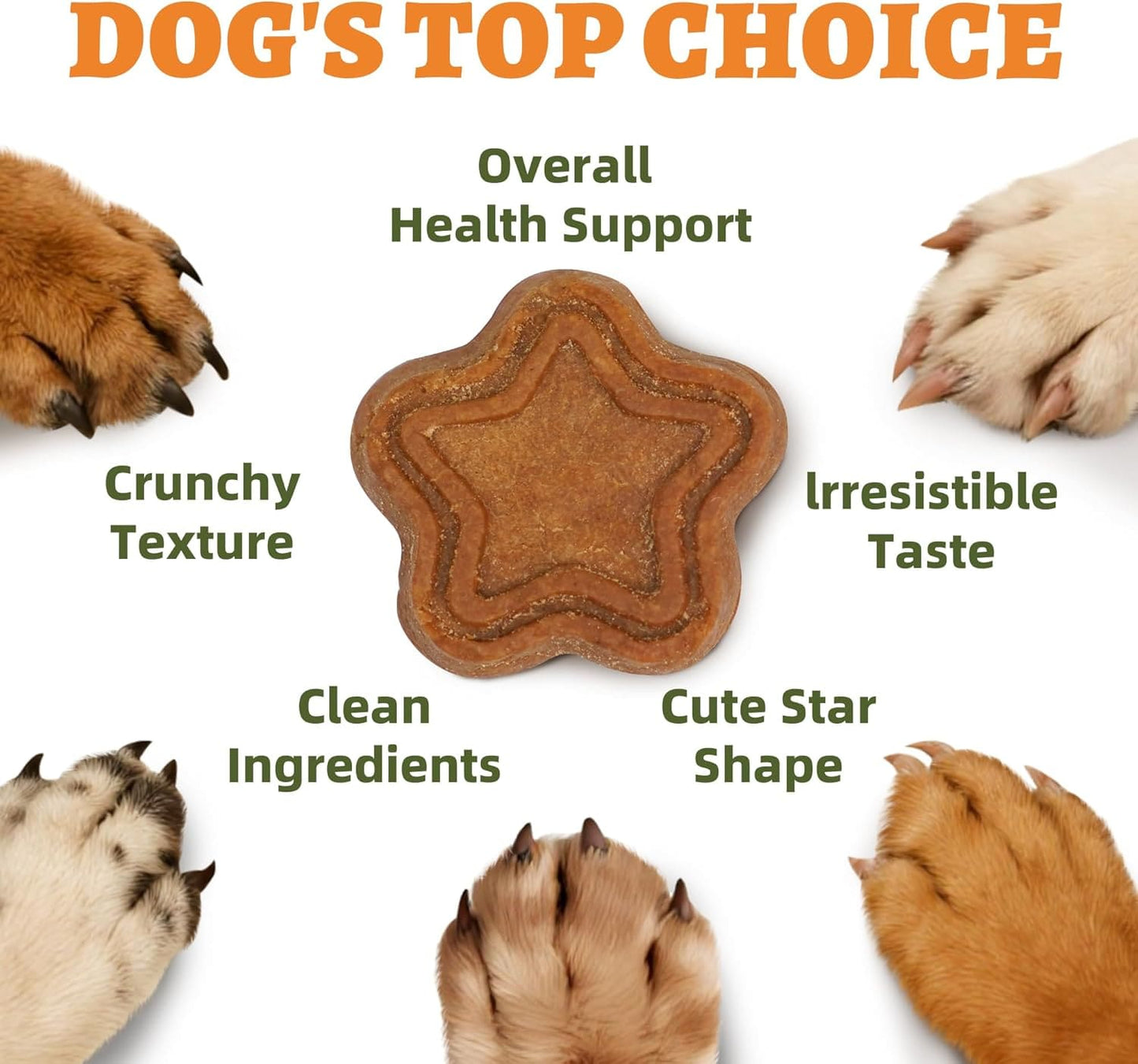 Just Try Pumpkin Dog Treats for Digestive Health | Training BiscuitsJust Try