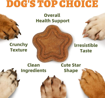 Just Try Pumpkin Dog Treats for Digestive Health | Training BiscuitsJust Try