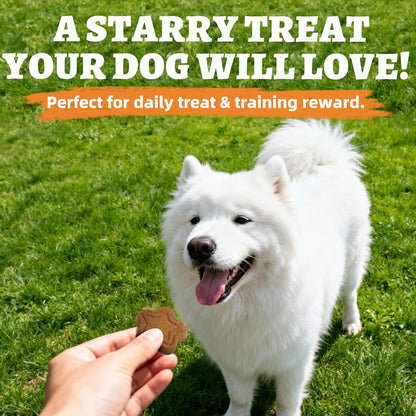 Just Try Pumpkin Dog Treats for Digestive Health | Training BiscuitsJust Try