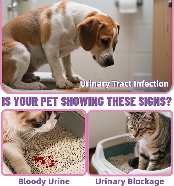 Just Try Cranberry Powder for Dogs & Cats | Urinary Tract Support SupplementCat Treats