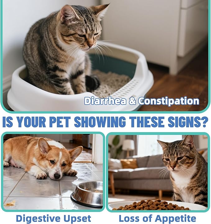 Just Try Probiotic Powder for Cats | Gut Health & Digestive Support Chicken Flavor