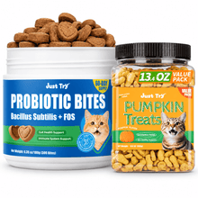 Pumpkin - Biscuits + Probiotic Bites