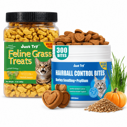 Just Try Cat Hairball Care Bundle – Cat Grass Treats with Hairball Control Food or Daily Hairball Support