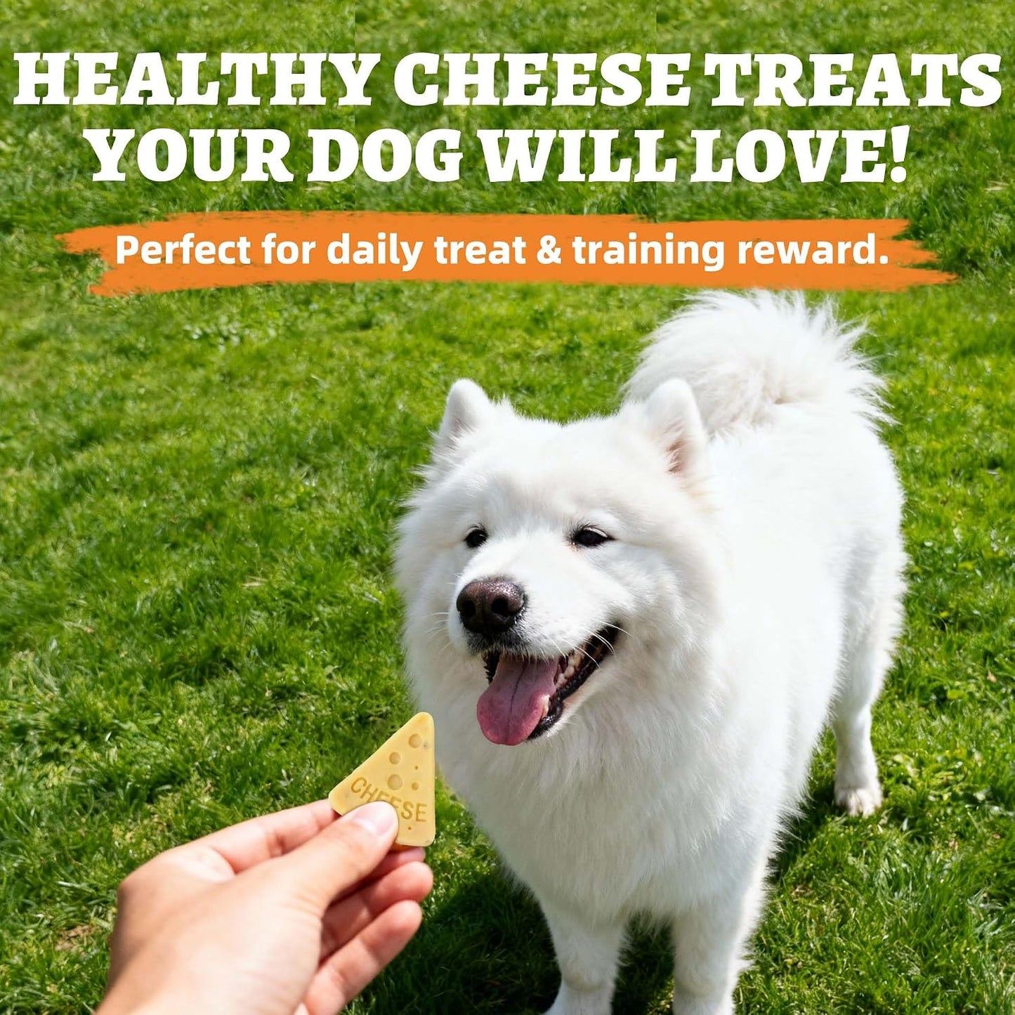Just Try Cheese Pizza Dog Treats – High Protein Cheese Training & Dental ChewsDogs Chews Sticks