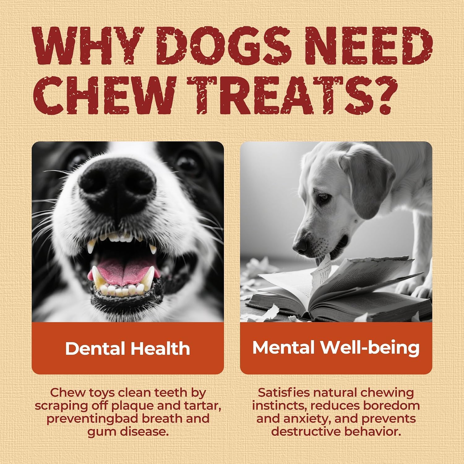 Just Try Chicken Wrapped Rawhide Dog Chew Sticks 10.6" | Long Lasting Dental Chews for DogsDogs Chews Sticks