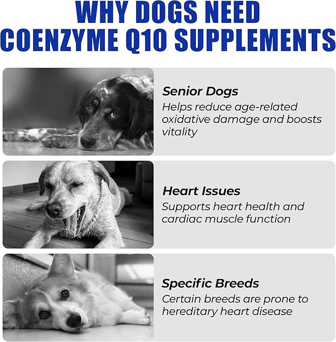 Just Try CoQ10 Dog Heart Health Chews | Taurine SupportJust Try