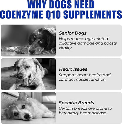 Just Try CoQ10 Dog Heart Health Chews | Taurine SupportJust Try