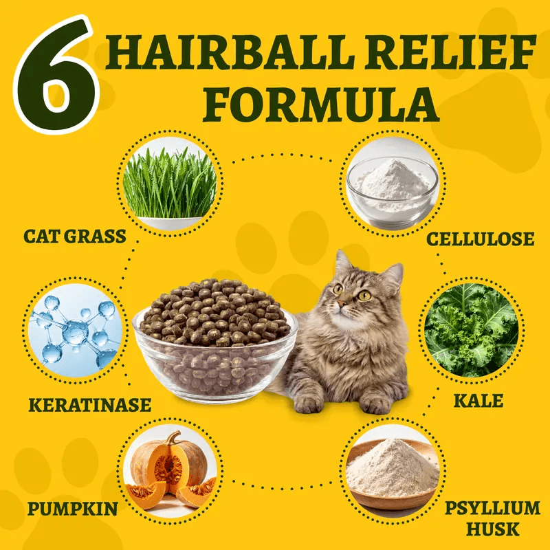 Just Try Hairball Control Cat Food, 5 lb – High-Protein Chicken & Salmon Dry Cat Food with Cat Grass, Pumpkin & PsylliumCat Food