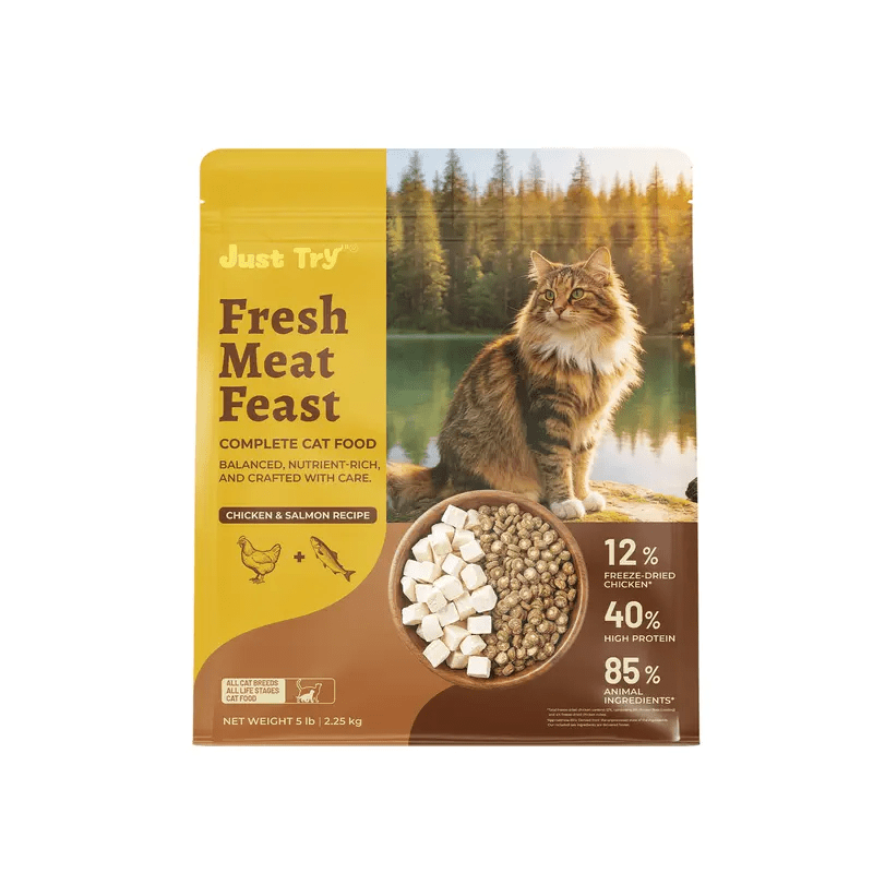 Just Try Hairball Control Cat Food, 5 lb – High-Protein Chicken & Salmon Dry Cat Food with Cat Grass, Pumpkin & PsylliumCat Food