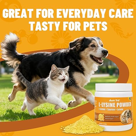 Just Try L-Lysine Powder for Cats & Dogs | Immune & Respiratory Support SupplementCat Treats