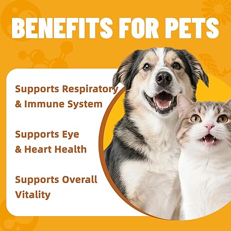 Just Try L-Lysine Powder for Cats & Dogs | Immune & Respiratory Support SupplementCat Treats