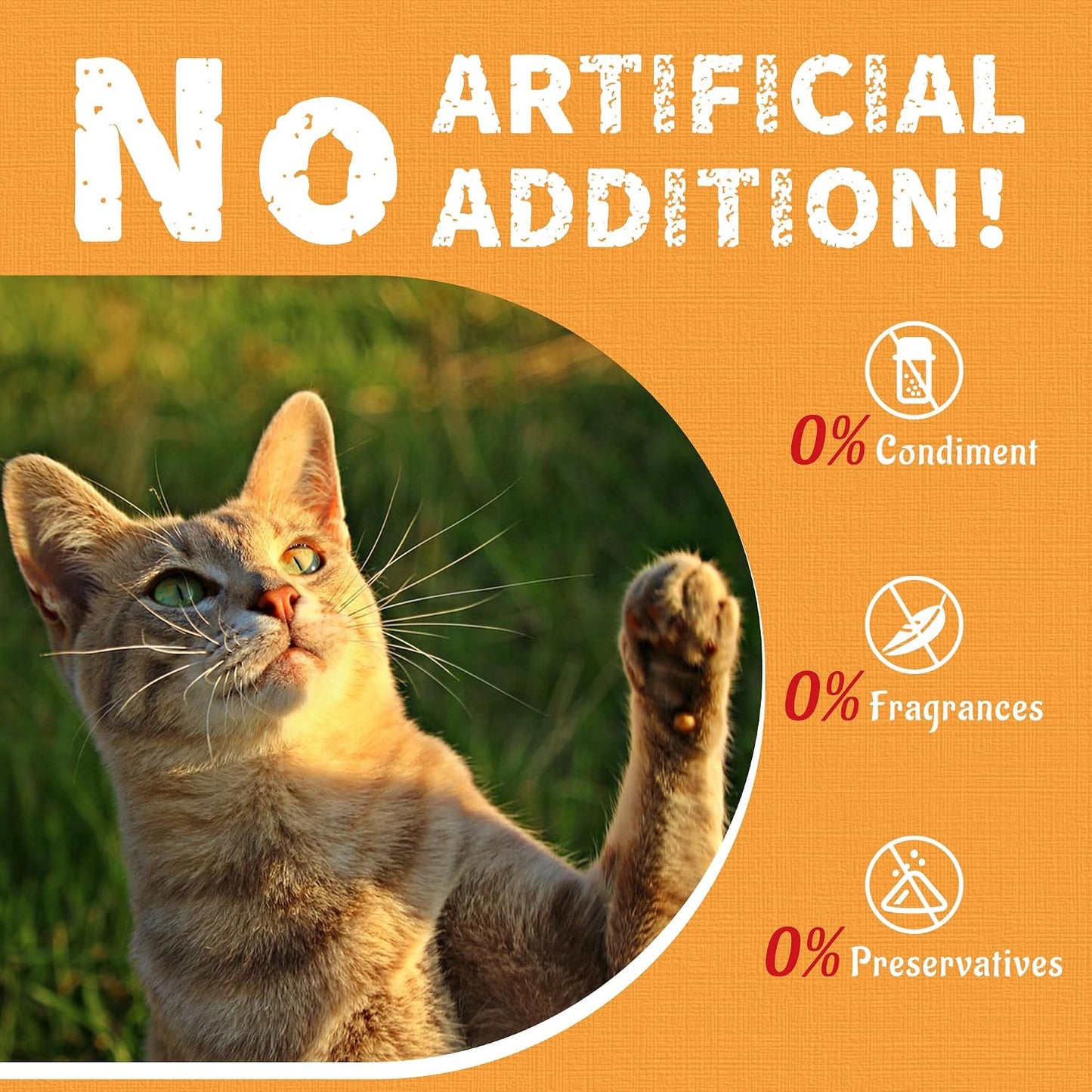 Just Try Triple Happy Crunchy Cat Treats Variety Pack – 3 Flavors, 36 ozCat Treats
