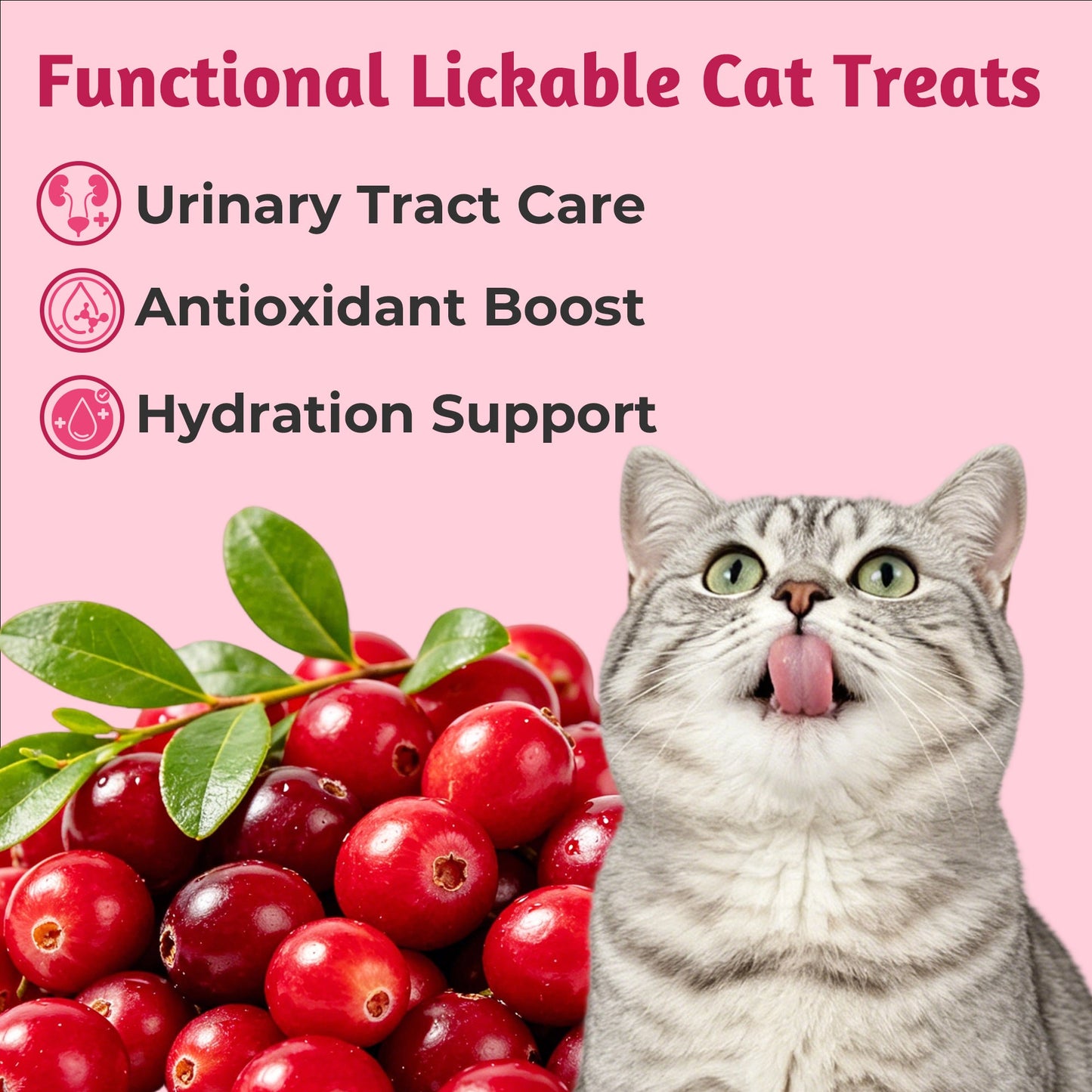 Just Try Urinary Care Lickable Cat Treats – Cranberry Chicken Flavor, 20 TubesCat lickable