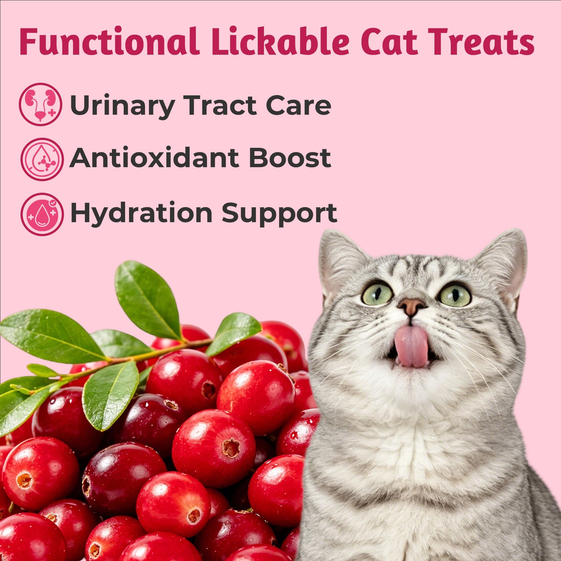 Just Try Urinary Care Lickable Cat Treats – Cranberry Chicken Flavor, 20 TubesCat lickable