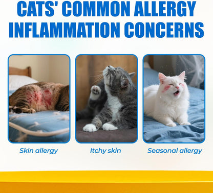 JUSTTRY Cat Allergy & Immune Bites Cat Supplements – Chicken Flavor with L-Lysine For Cats for Itchy Skin Relief & Immune Support, 6.35oz, 300 BitesCat Supplements