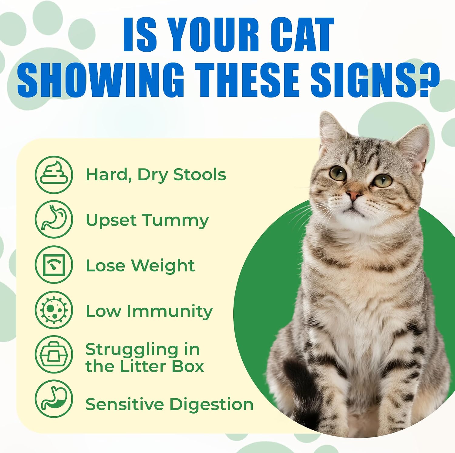 JUSTTRY Cat Probiotic Bites – For Cat Digestive Support & Cat Constipation Relief Chicken Flavored Cat Supplements, 6.35oz, 300 BitesCat Supplements