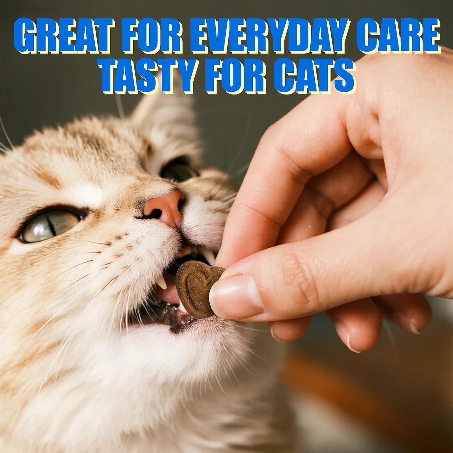 JUSTTRY Cat Probiotic Bites – For Cat Digestive Support & Cat Constipation Relief Chicken Flavored Cat Supplements, 6.35oz, 300 BitesCat Supplements
