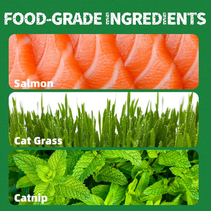 JUSTTRY Cat Grass Treats for Hairball Control & Digestive HealthCat Treats