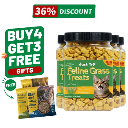 JUSTTRY Natural Cat Grass Treats Hairball Relief & Dental Care 14ozCat Treats