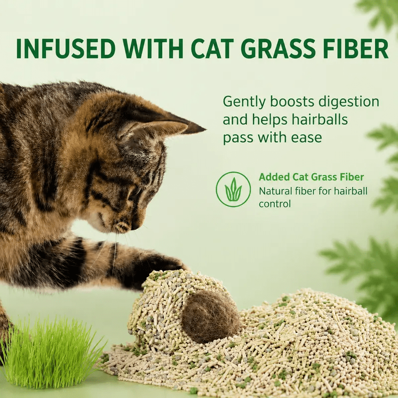 JUSTTRY Natural Cat Grass Treats Hairball Relief & Dental Care 14ozCat Treats