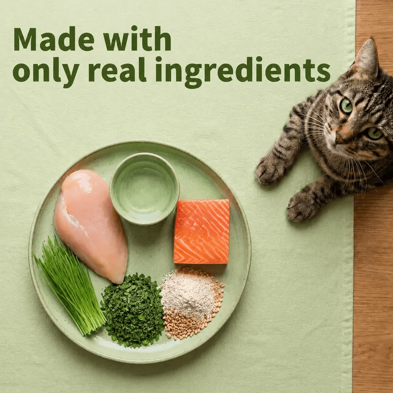 JUSTTRY Natural Cat Grass Treats Hairball Relief & Dental Care 14ozCat Treats