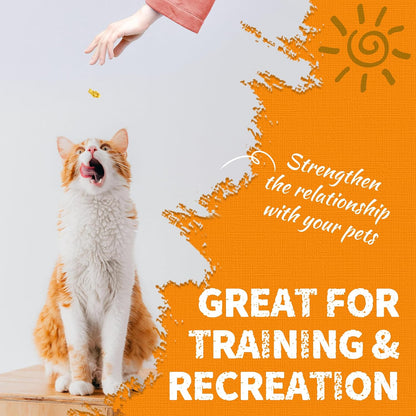 JUSTTRY Pumpkin Cat Treats –Rich in Fibre and Low-Calorie Digestive Snacks for constipation relief, 13.4ozCat Treats