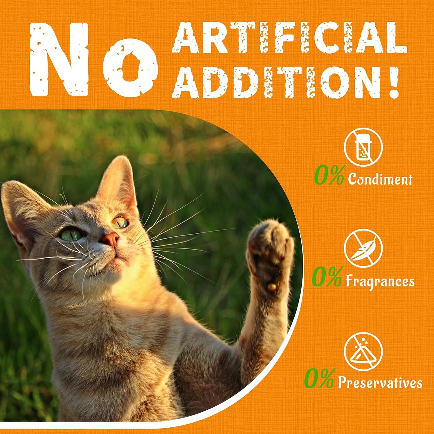 JUSTTRY Pumpkin Cat Treats –Rich in Fibre and Low-Calorie Digestive Snacks for constipation relief, 13.4ozCat Treats