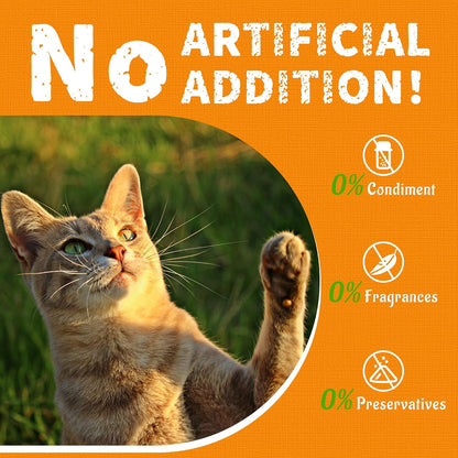 JUSTTRY Pumpkin Cat Treats –Rich in Fibre and Low-Calorie Digestive Snacks for constipation relief, 13.4ozCat Treats