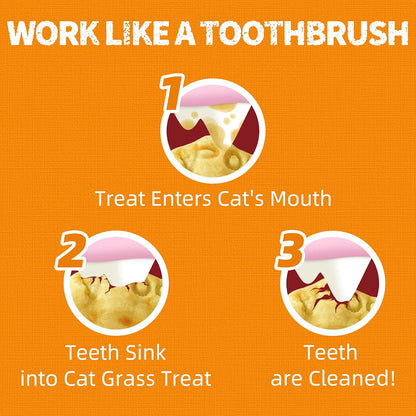 JUSTTRY Pumpkin Cat Treats –Rich in Fibre and Low-Calorie Digestive Snacks for constipation relief, 13.4ozCat Treats