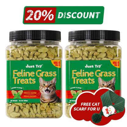 Natural Cat Grass Treats for Hairball Relief & Dental Care – Tasty Catnip Snacks by JUSTTRY, 13.4ozCat Treats