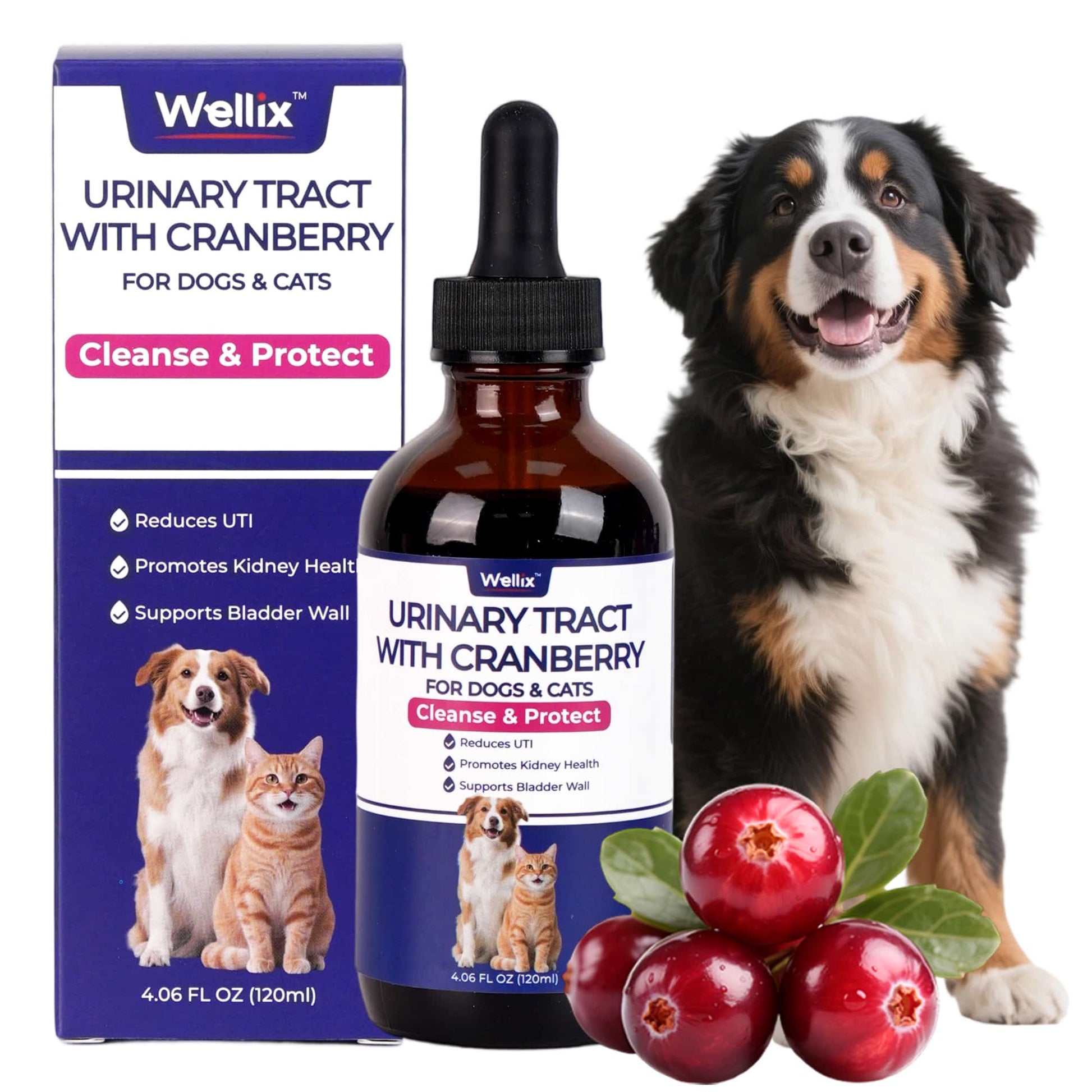 Wellix UrinaryTract Drops with Cranberry for Cats & Dogs – 4 oz Cranberry & D-Mannose for Urinary, Bladder & Kidney HealthCat Treats